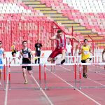 Bekric KES 2011
